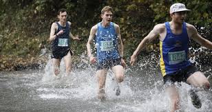 Image result for Avon Valley Runners