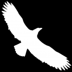 Image result for Ealing Eagles Ball Hockey Club