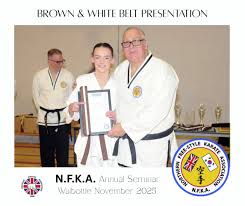 Image result for Northern Freestyle Karate Association