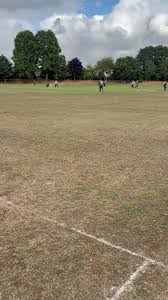 Image result for Loddington Cricket Club