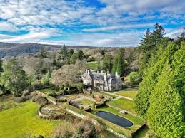 Image result for Newton Abbott Knights