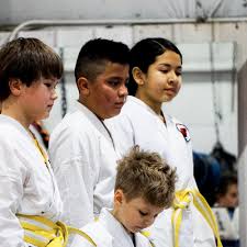 Image result for Hillsborough Judo Club