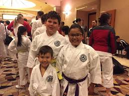 Image result for Carn Brea Karate Kai