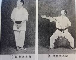 Image result for Katakuri Karate