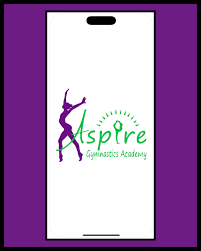 Image result for Aspire Gym Academy