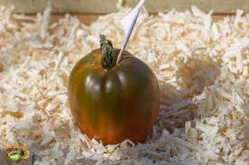 Afbeeldingsresultaat voor black oxheart tomato