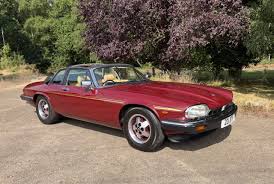 Image result for Claret 1983 Jaguar