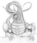 Dragon Sketches - Dragon Artwork