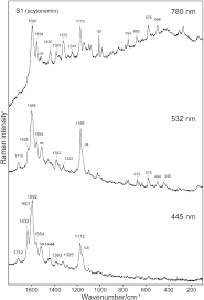 Attēlu rezultāti vaicājumam “Gloeocapsa rupestris”