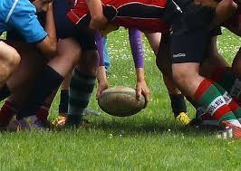 Image result for Diss Rugby Football Club