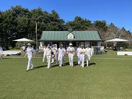 Image result for Bucklebury Cricket Club