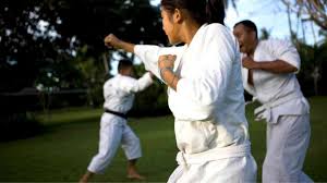 Image result for Awesome Martial Arts Training Center