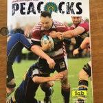 Image result for Southend Rugby Football Club Ltd