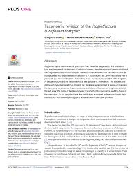 Attēlu rezultāti vaicājumam “Plagiothecium latebricola macro”