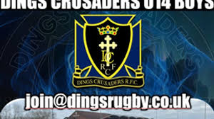 Image result for Dings Crusaders Rugby Football Club