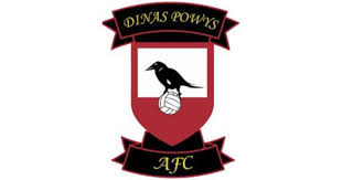 Image result for Dinas Powys Cricket Club