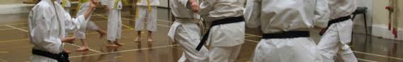 Image result for Devonport Shotokan Karate Club