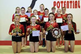 Image result for Lincoln Gymnastics Club