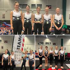 Image result for Harrogate School Of Gymnastics