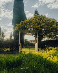 Image result for Cloughey Bowling Club