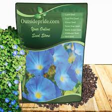 Image result for Ipomoea Heavenly Blue