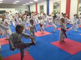 Image result for Ryusui-ryu Martial Arts School East Grinstead