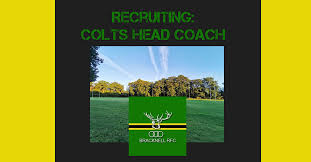 Image result for Bracknell Rufc