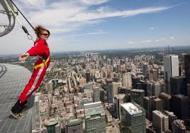 Image result for extreme ironing