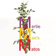 Afbeeldingsresultaat voor marizol purple tomato