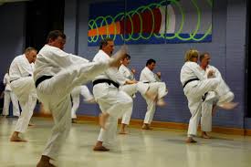 Image result for Southampton University Shorinji Kempo Club