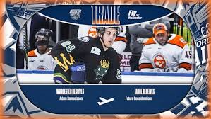 Image result for Worcester Dominies & Guild Cc