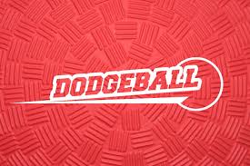 Image result for The Dodgeball Company