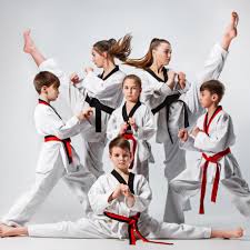 Image result for Dujon Tae Kwon Do