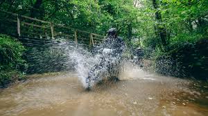 Image result for Abinger Forest Riding Club