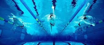 Image result for Plymouth Leander Swimming Association