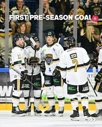 Image result for Nottingham Panthers