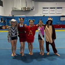 Image result for Mk Springers Gymnastics Club