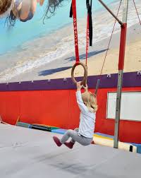 Image result for Arabian School Of Gymnastics
