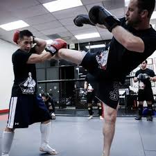 Image result for United Dojos Kickboxing