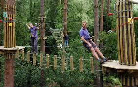 Image result for Go Ape! Grizedale