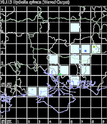 Attēlu rezultāti vaicājumam “Hydrelia sylvata”