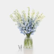 Image result for Delphinium