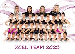 Image result for Hull High Flyers Gymnastics Club