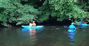 Image result for Dales Canoe Club