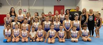 Image result for Monmouth Netball Club
