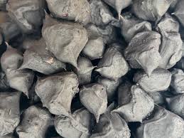 Attēlu rezultāti vaicājumam “Trapaceae”