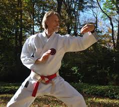 Image result for Martial Arts New Jersey