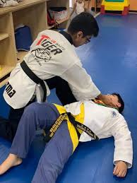 Image result for White Tiger Martial Arts