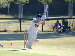 Image result for Tavistock Sir Francis Drake Bowling Club