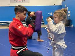 Image result for Skillz Martial Arts